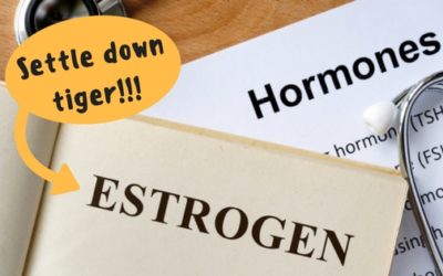 Excess Estrogen & How to Reduce it