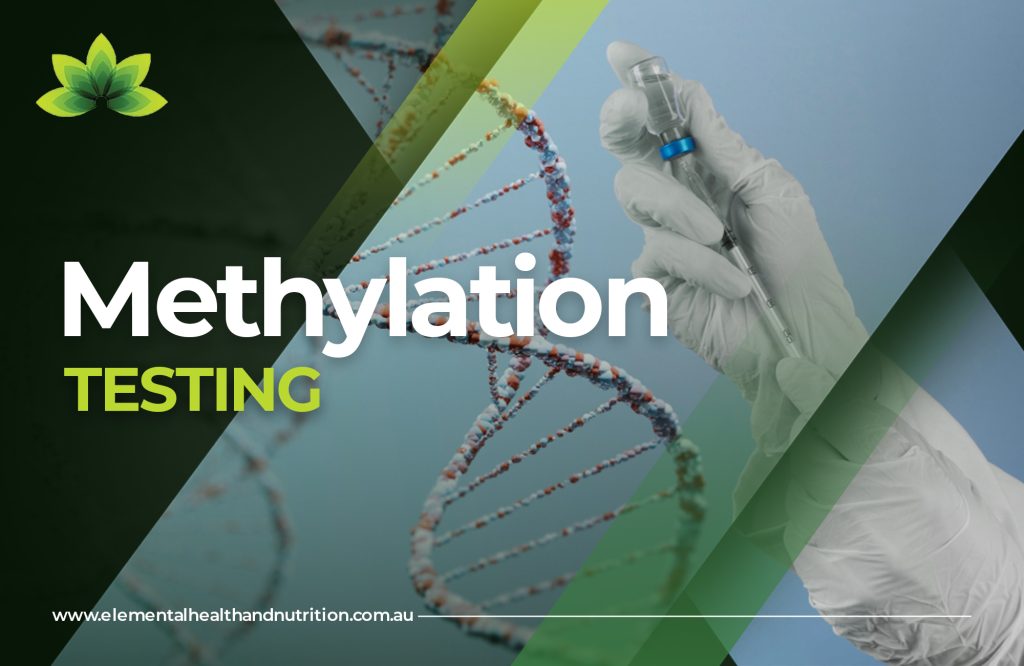 methylation panel Adelaide