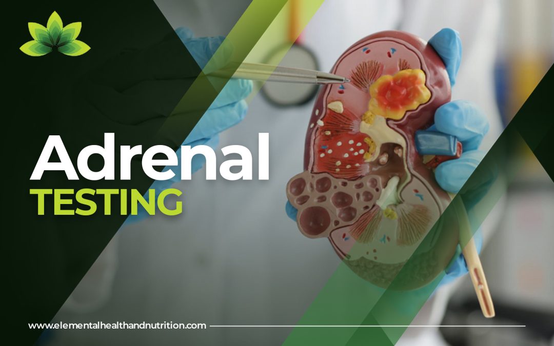 adrenal testing