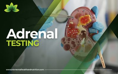 Understanding Adrenal Testing: A Key to Unlocking Your Health