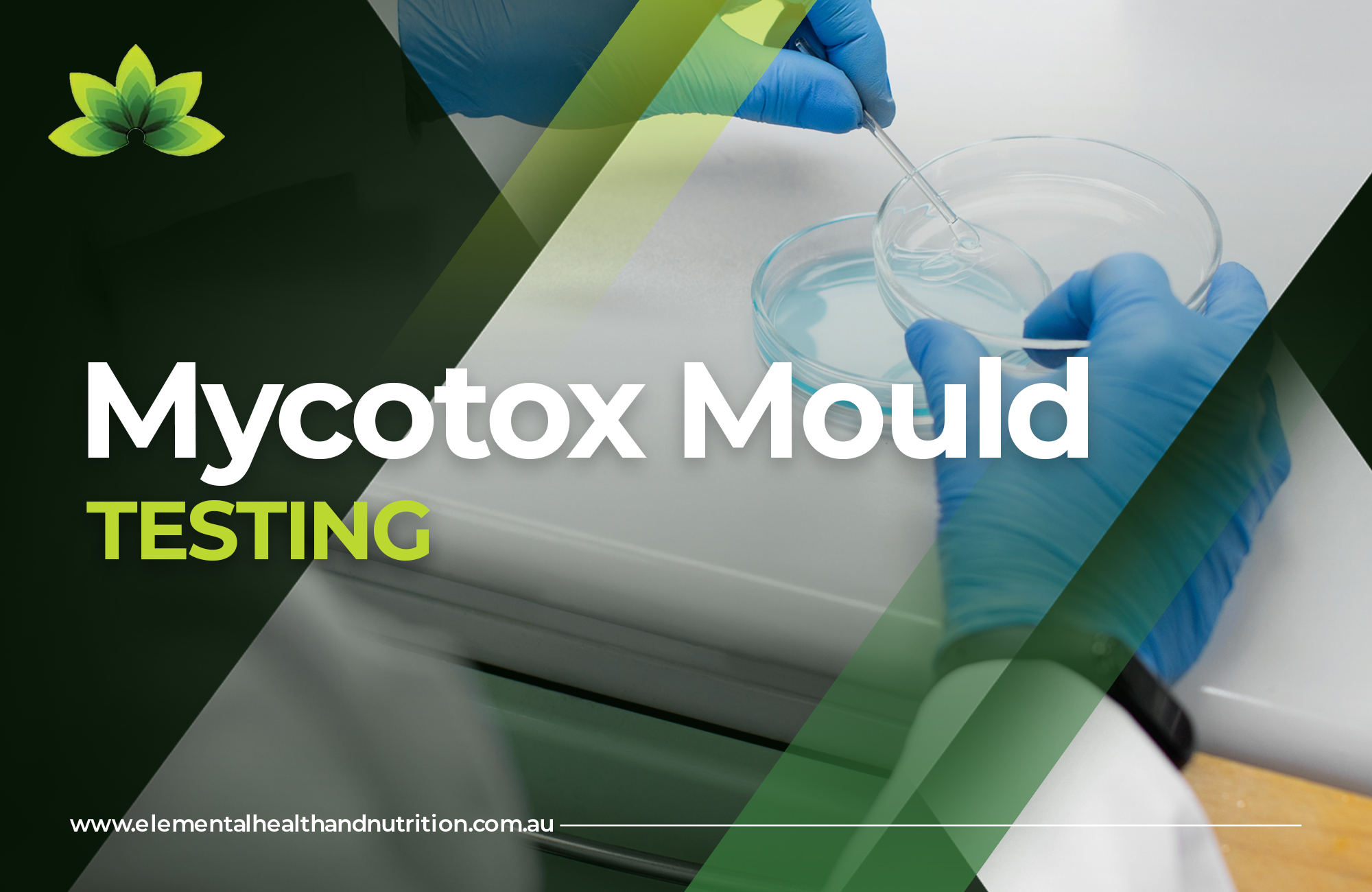 Mycotox mould testing Adelaide