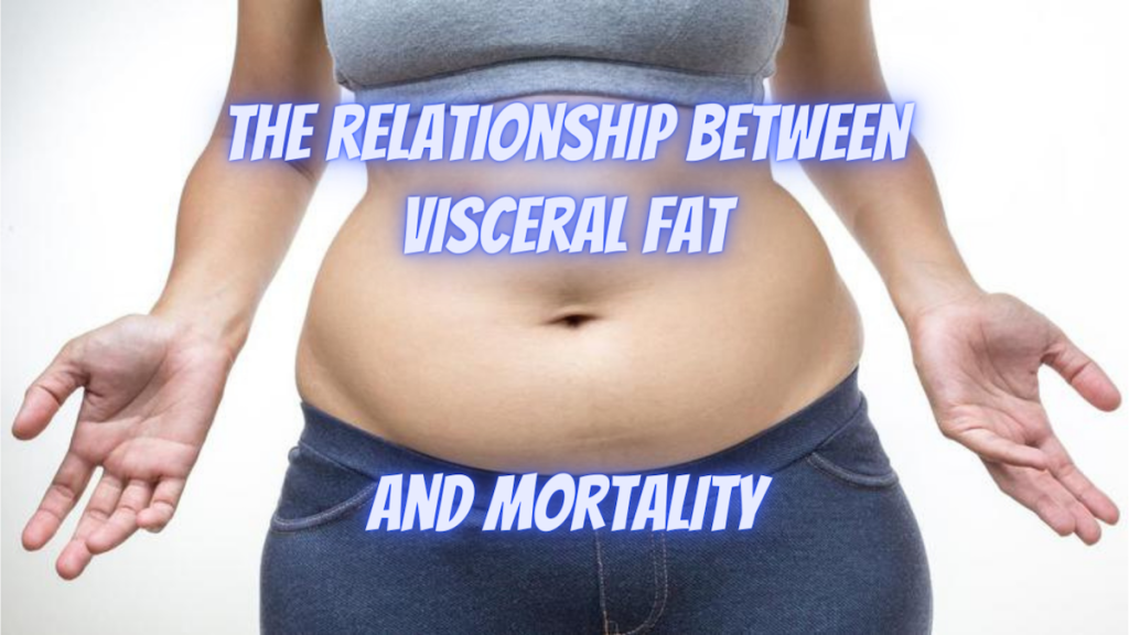 visceral fat mortality risk