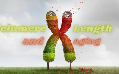 A Guide to Extending Telomere Length