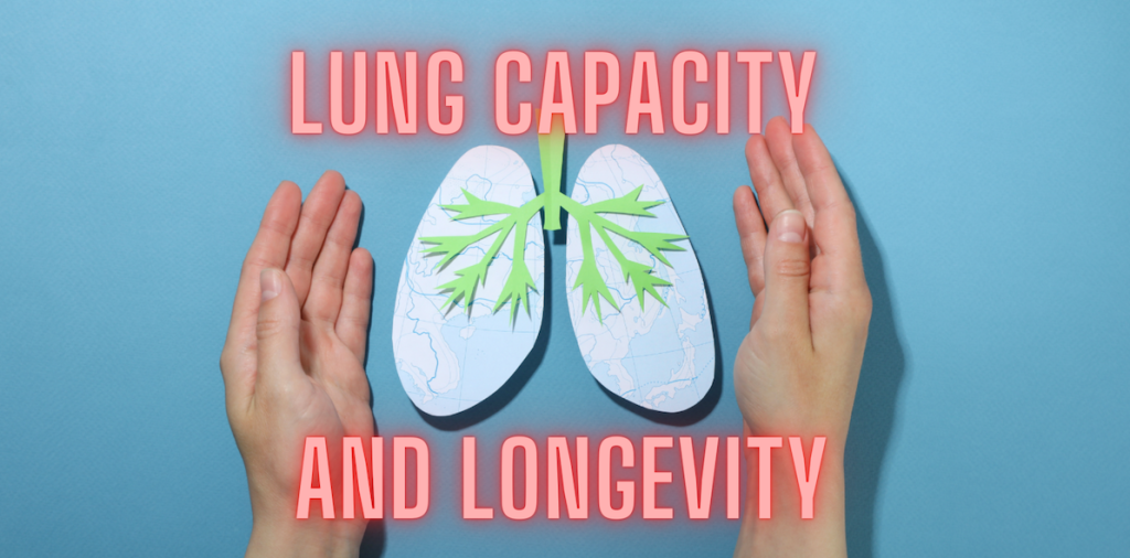 lung capacity ageing