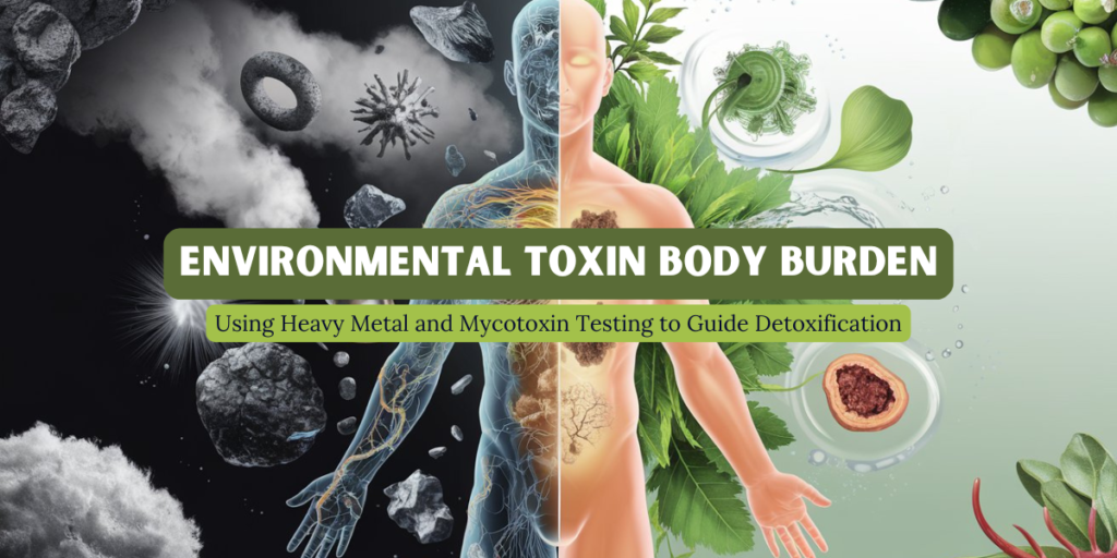 body burden toxin testing