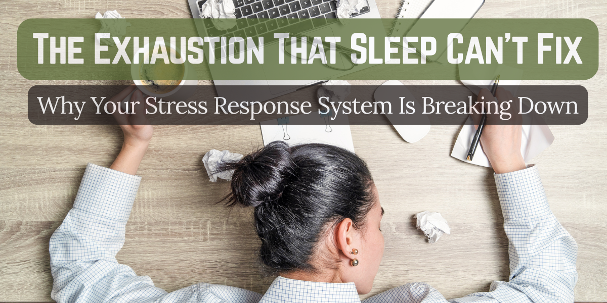 stress response exhaustion causes
