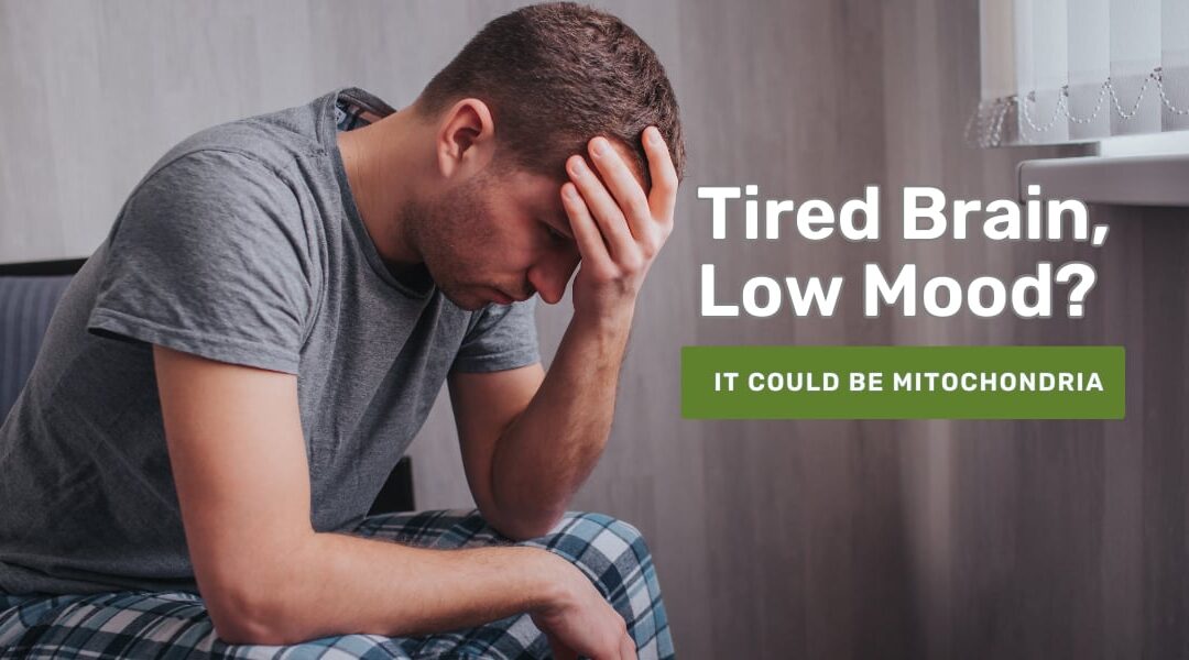mitochondrial dysfunction and mental fatigue