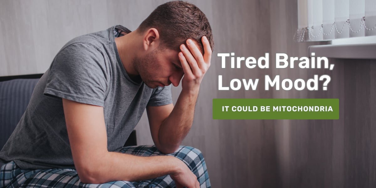 mitochondria fatigue mood