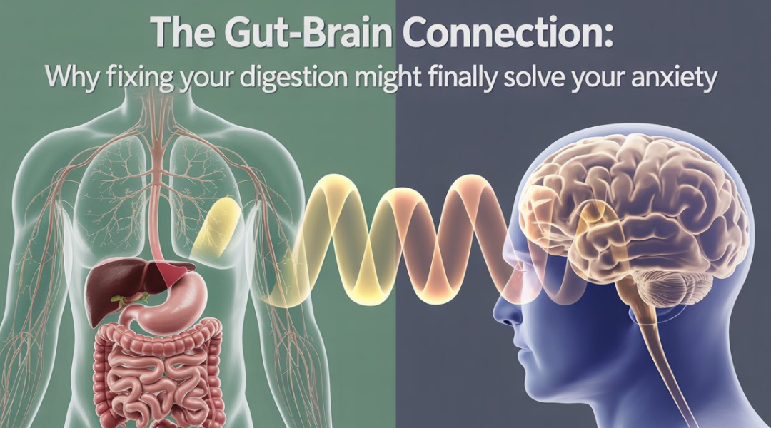 gut brain connection anxiety