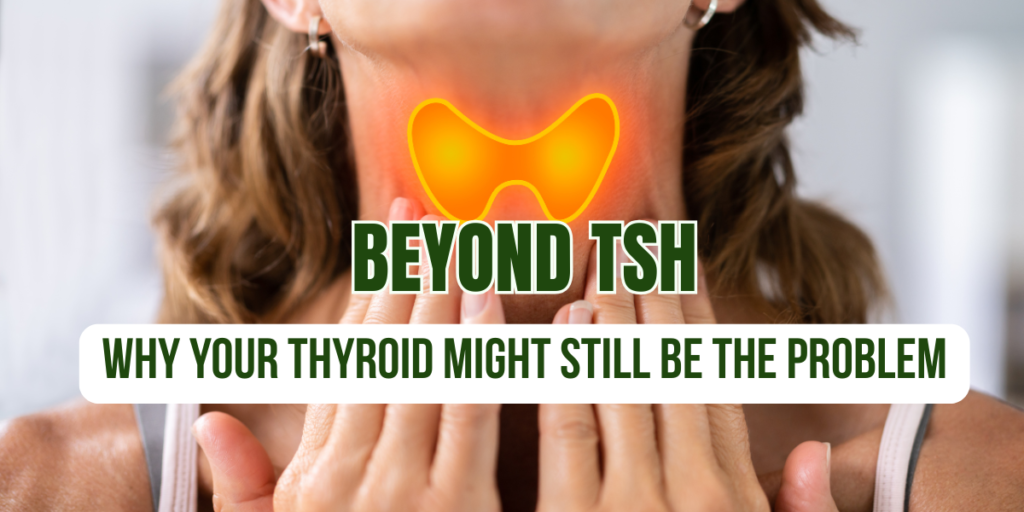 thyroid function beyond TSH