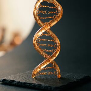 MTHFR Gene product image representing targeted genetic testing